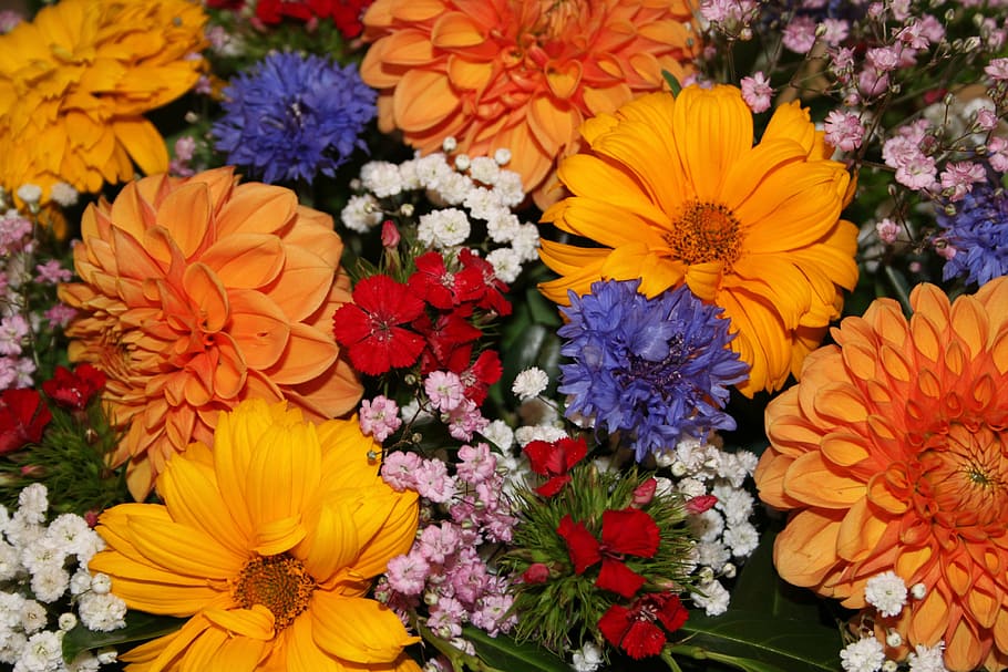 flowers, spring, colorful, bouquet, nature, yellow, gerbera Daisy HD wallpaper