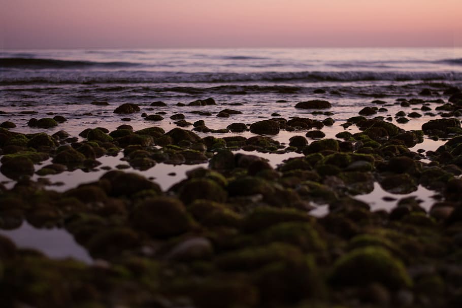 rocks on seashore along ocean wave, sea and moss rocks, photography HD wallpaper