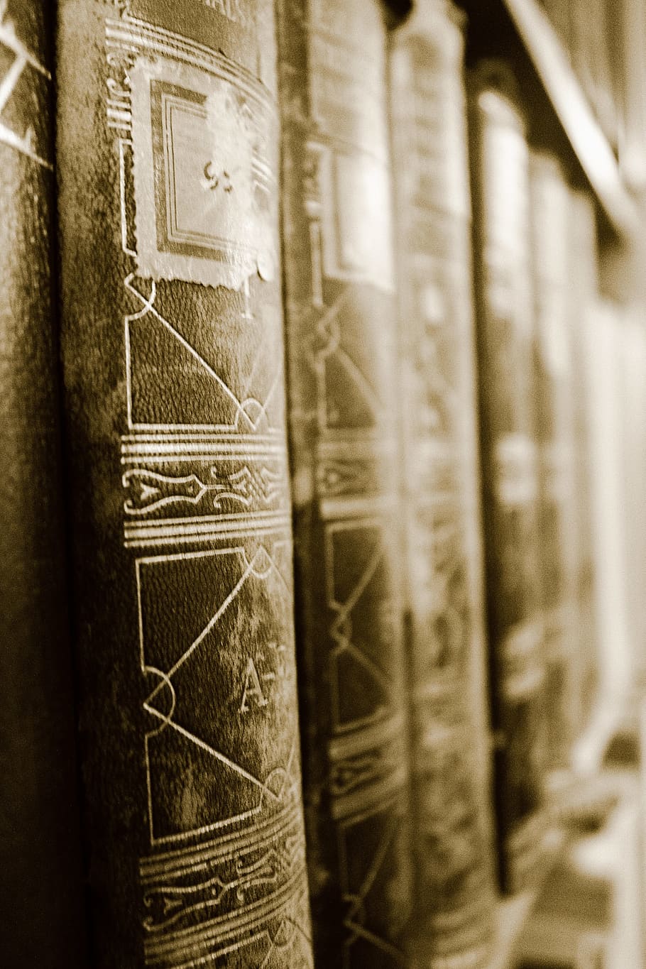 book, library, knowledge, education, read, reading, books in the library HD wallpaper