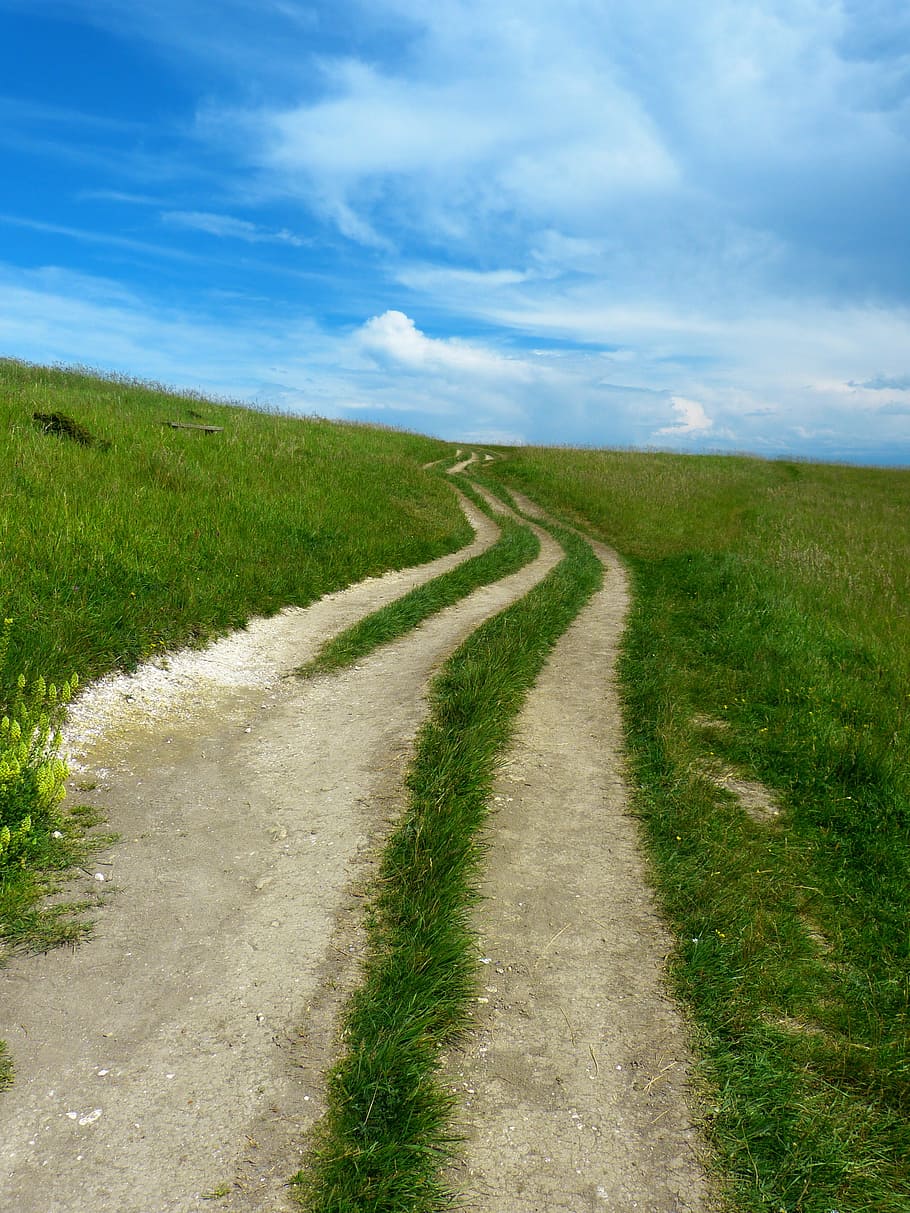 green grass field, away, path, trail, meadow, nature, sky, landscape HD wallpaper