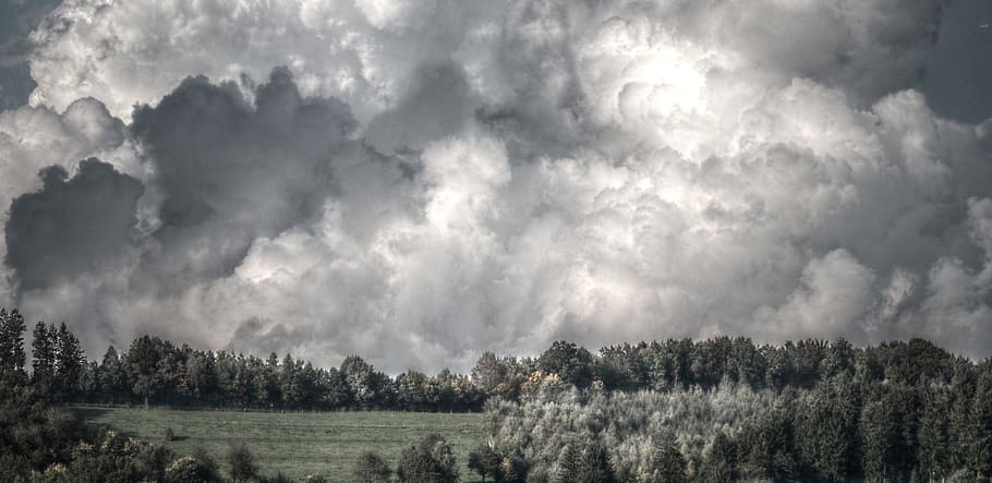 green trees under white and gray clouds, landscape, sky, nature HD wallpaper