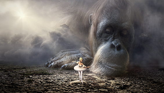 fantasy, monkey, dancer, light, oran utan, face, mood, emotion HD wallpaper