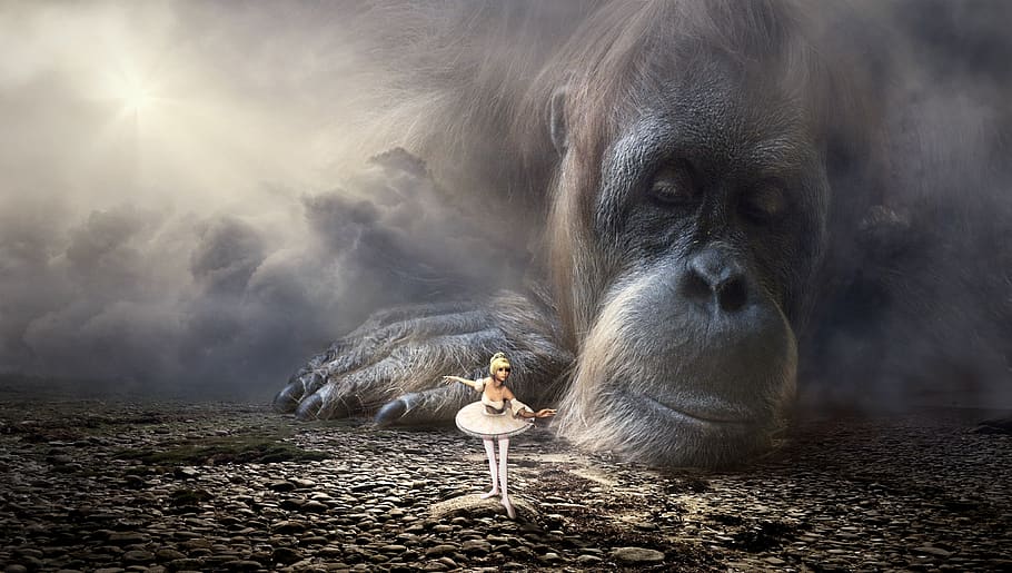 fantasy, monkey, dancer, light, oran utan, face, mood, emotion HD wallpaper