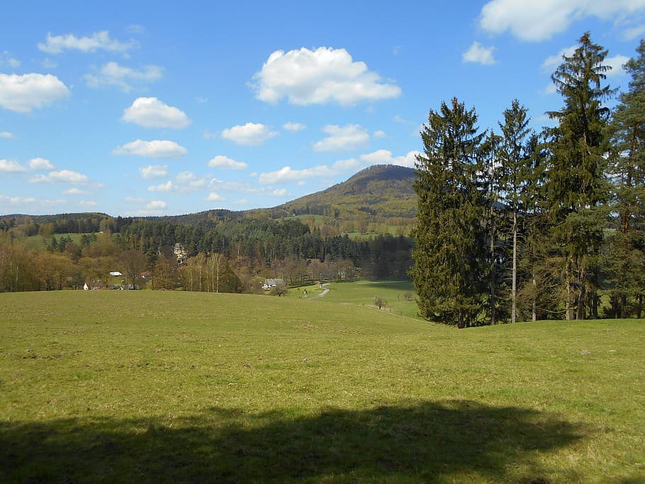 landscape, sky, clouds, spring, pasture, plant, tree, grass HD wallpaper