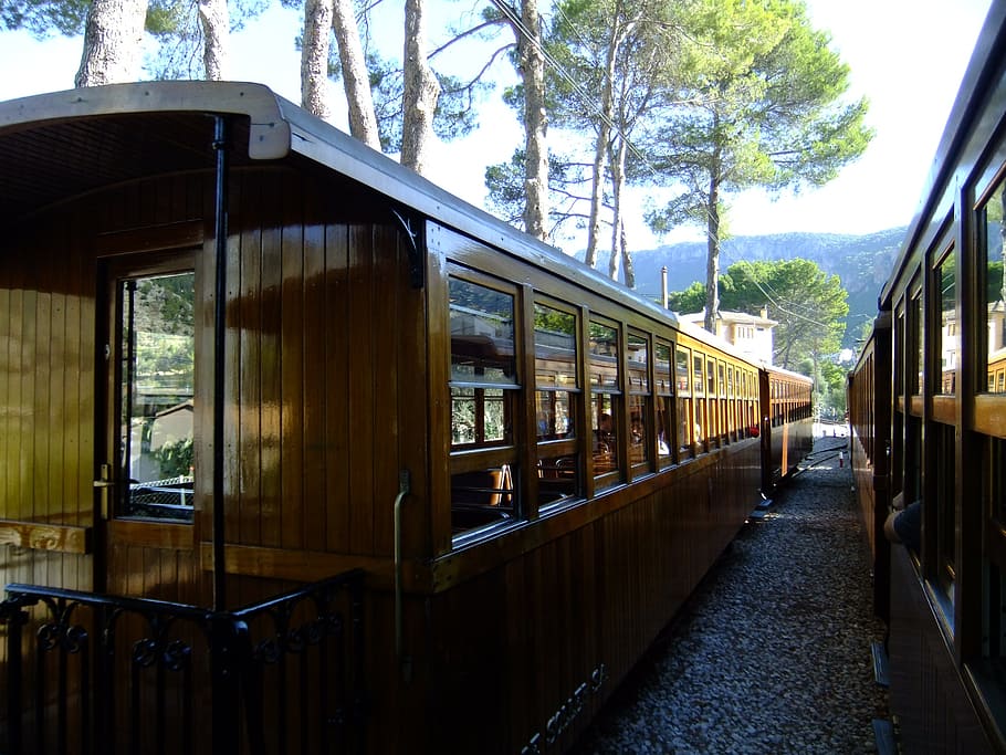 train, soller, mallorca, tree, transportation, public transportation HD wallpaper