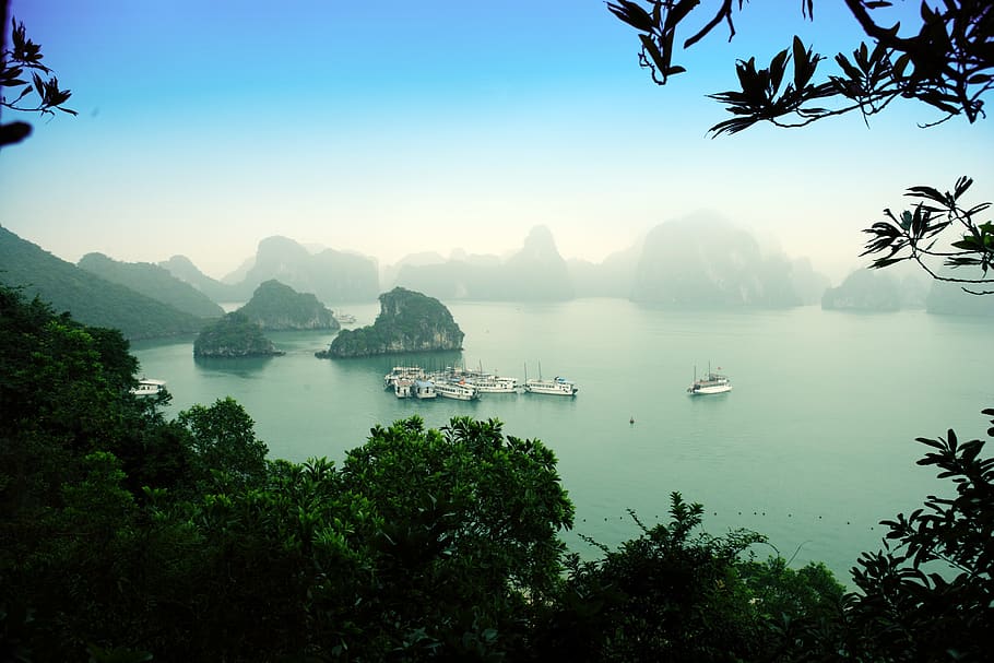 halong bay, vietnam, asia, sea, only, fog, morning, early, tree, HD wallpaper
