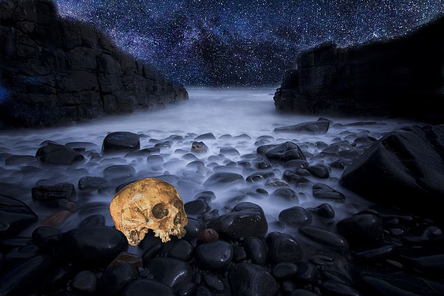brown skull on rocks, fog, beach, stars, halloween, death, horror
