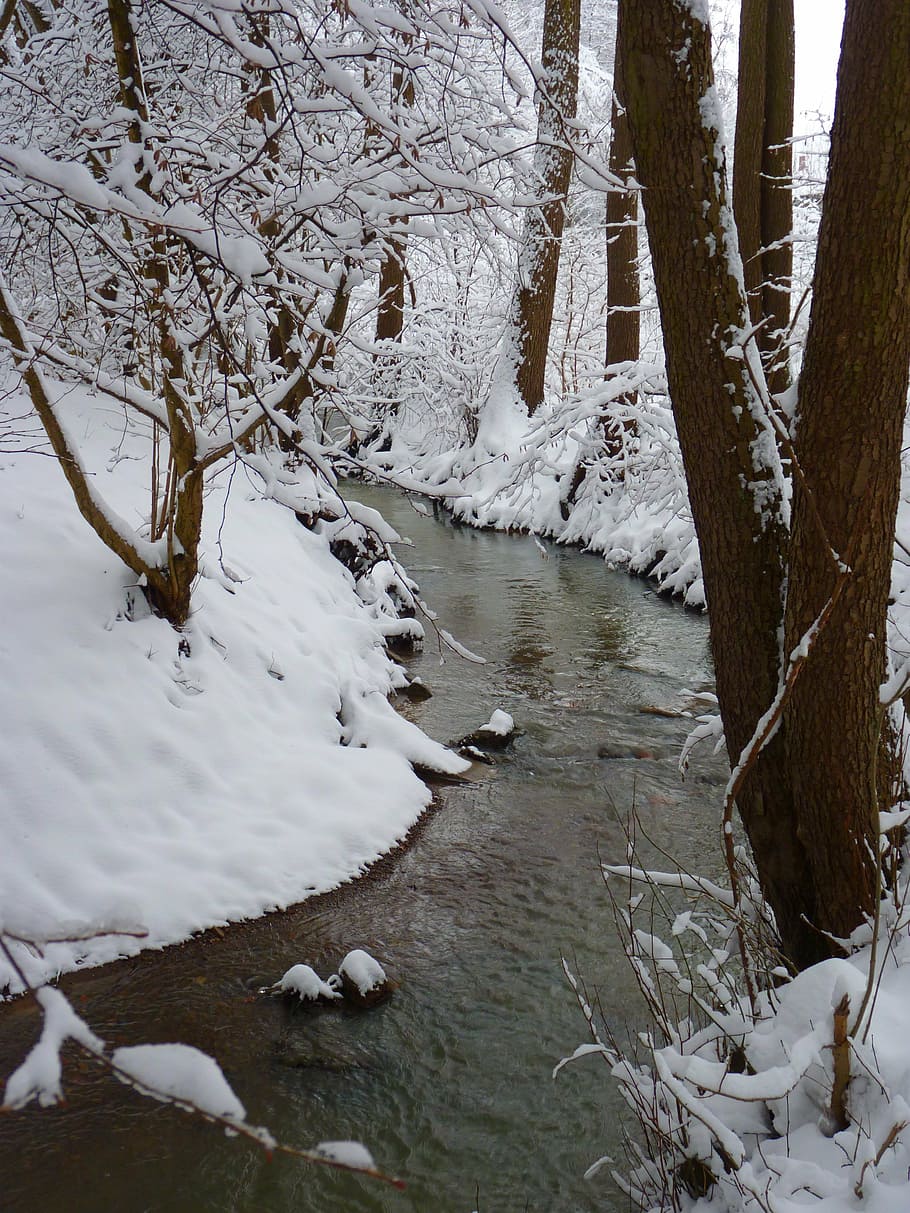 bach, water, waters, wintry, winter, cold, snow, white, cold temperature HD wallpaper