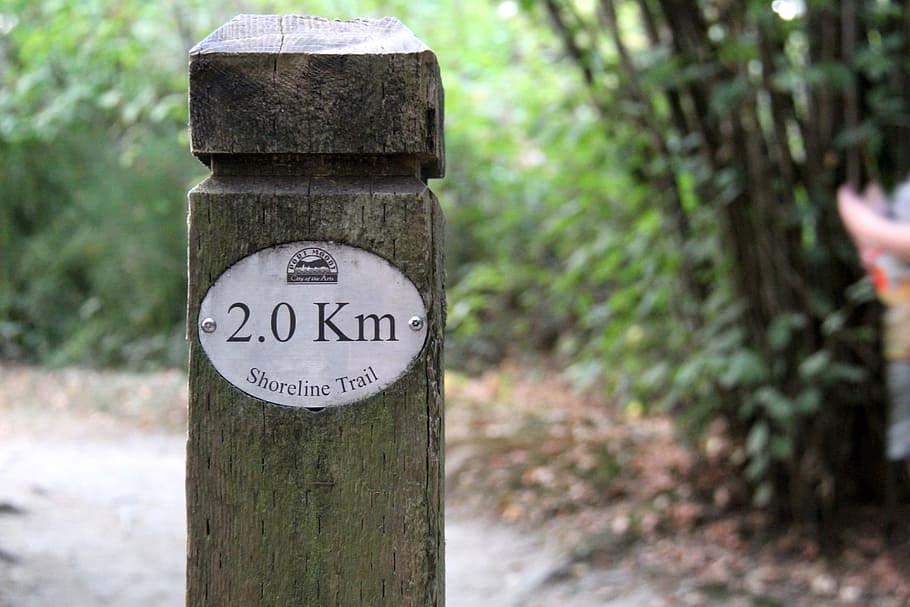 trail, walking, path, hiking, nature, adventure, hike, sport HD wallpaper