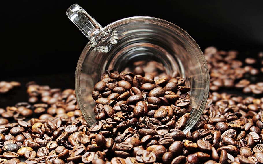 coffee bean lot, coffee beans, coffee cup, pleasure, caffeine HD wallpaper