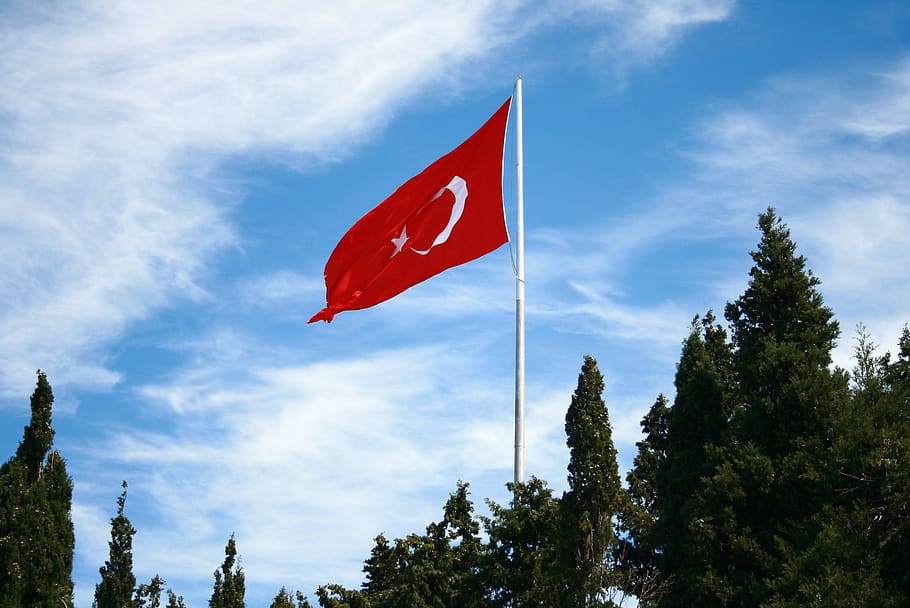 flag, moon and star, ganesh, tree, red, plant, cloud - sky, HD wallpaper