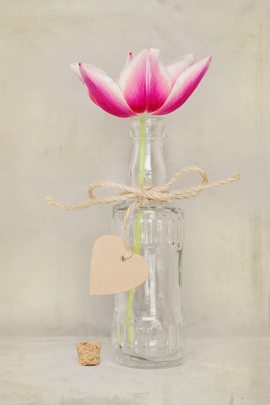 white and pink flower in clear glass bottle decor, tulip, blossom HD wallpaper