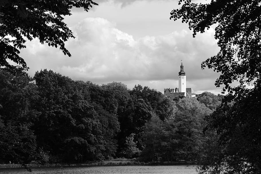 castle tower, greiz, mystical, thuringia germany, tree, plant HD wallpaper