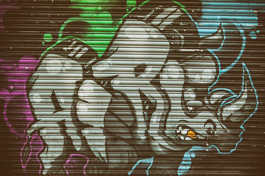 HD wallpaper: Urban street art depicting a rhino, graffiti, backgrounds,  abstract | Wallpaper Flare