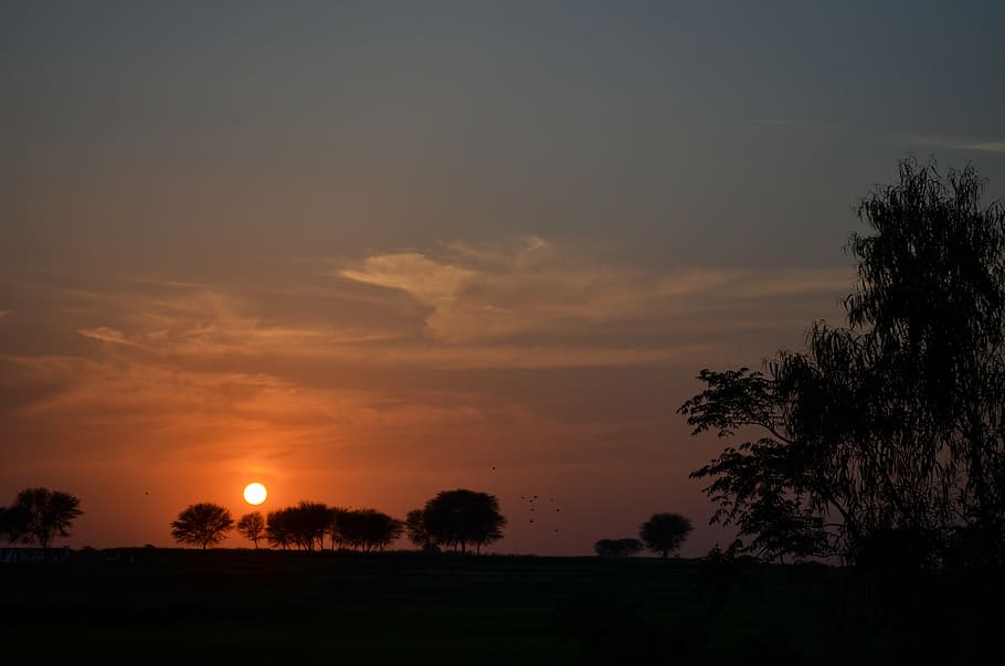 sunset, evening, landscape, sunset background, sunset sky, outdoor HD wallpaper