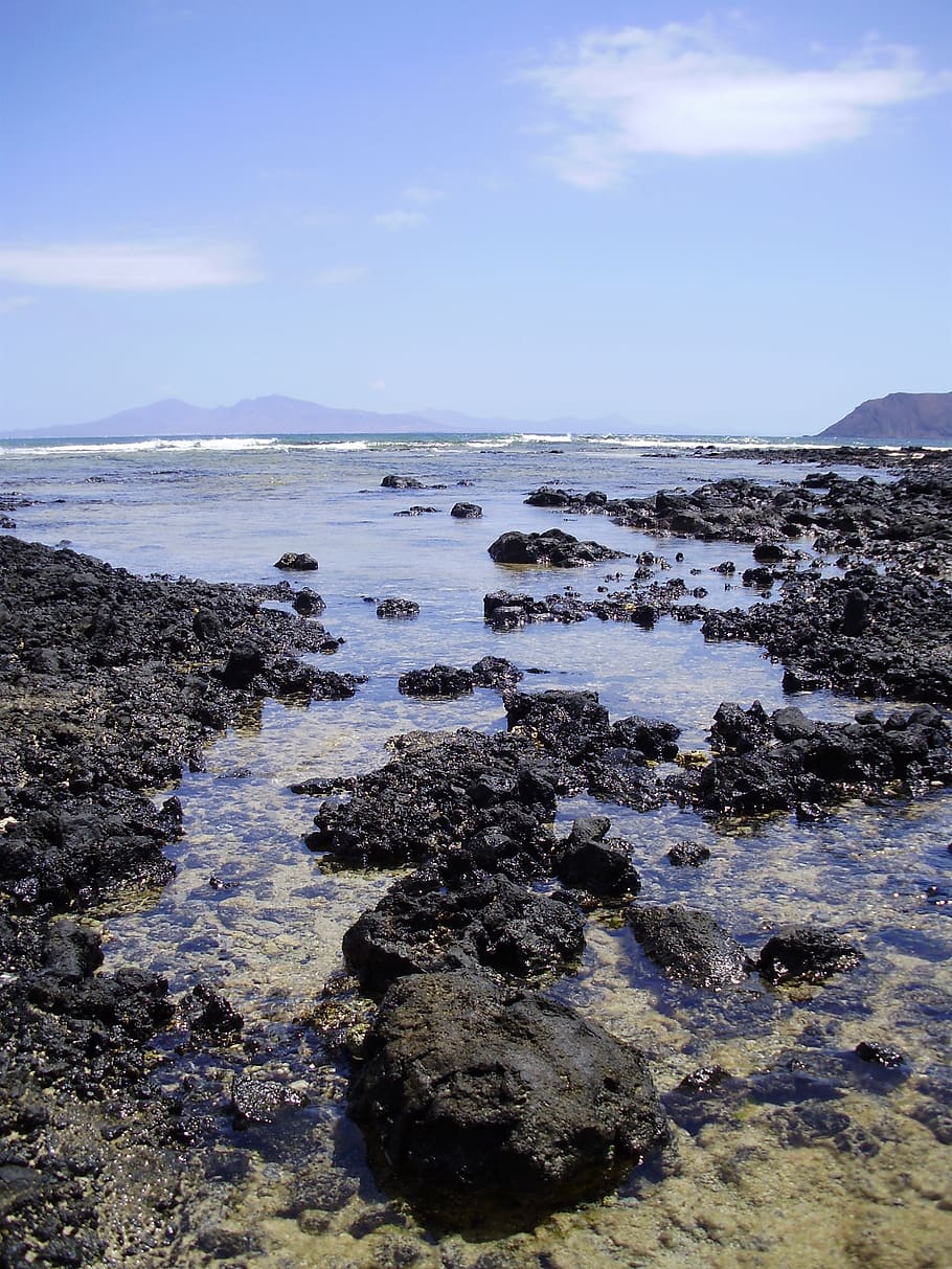 ocean, coast, fuerteventura, spain, canary, landscape, scenic, HD wallpaper