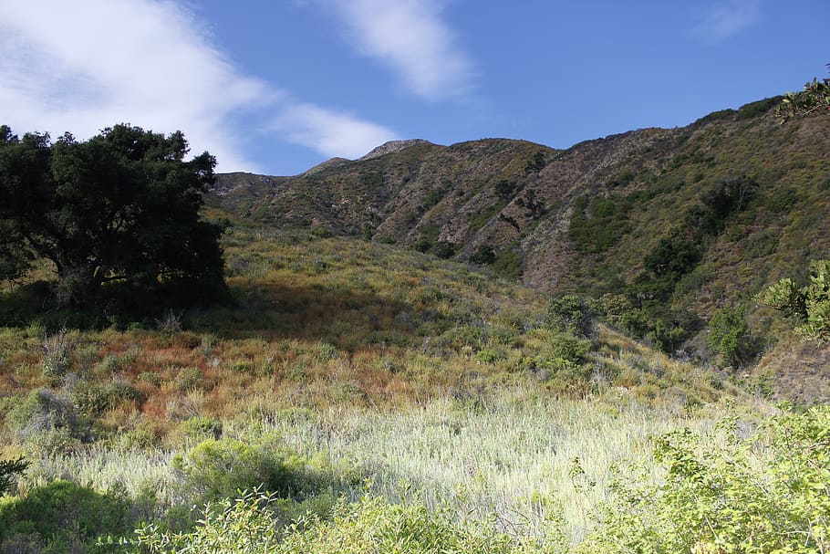 big sur, valley, california, nature, landscape, usa, america, HD wallpaper