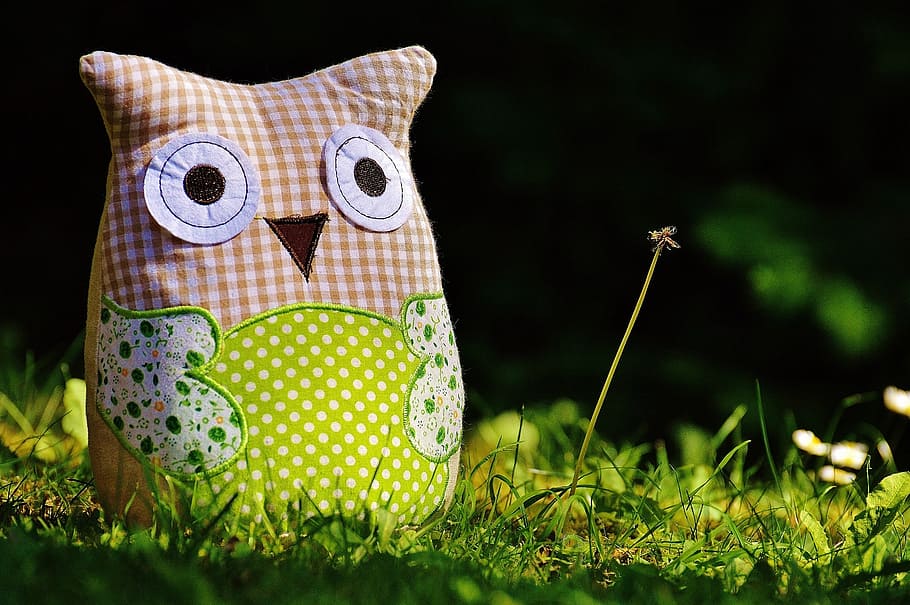 green and brown owl plush toy on green grass, fabric, funny HD wallpaper