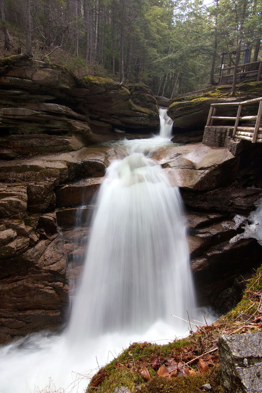 stream, creek, cascade, waterfall, flow, motion, river, nature HD wallpaper