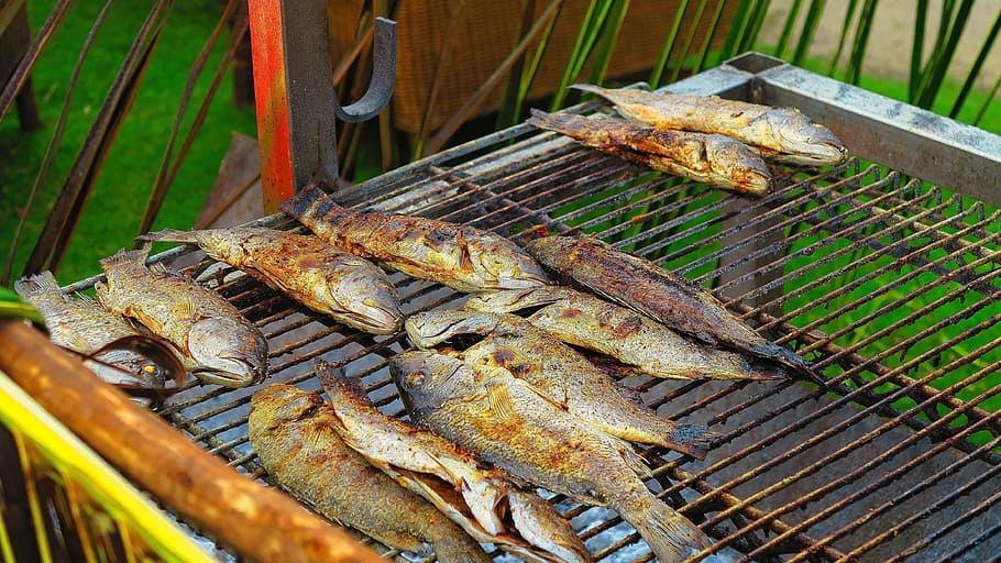 Fish, Eating, Grilling, Dinner, kitchen, fresh, natural food HD wallpaper