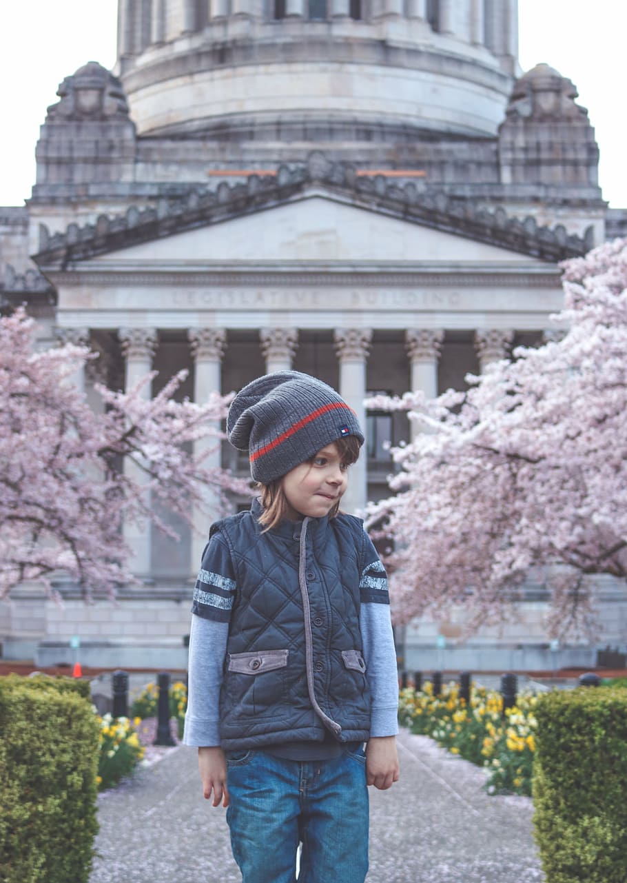 young, boy, cute, child, childhood, spring, time, bloom, blossom HD wallpaper