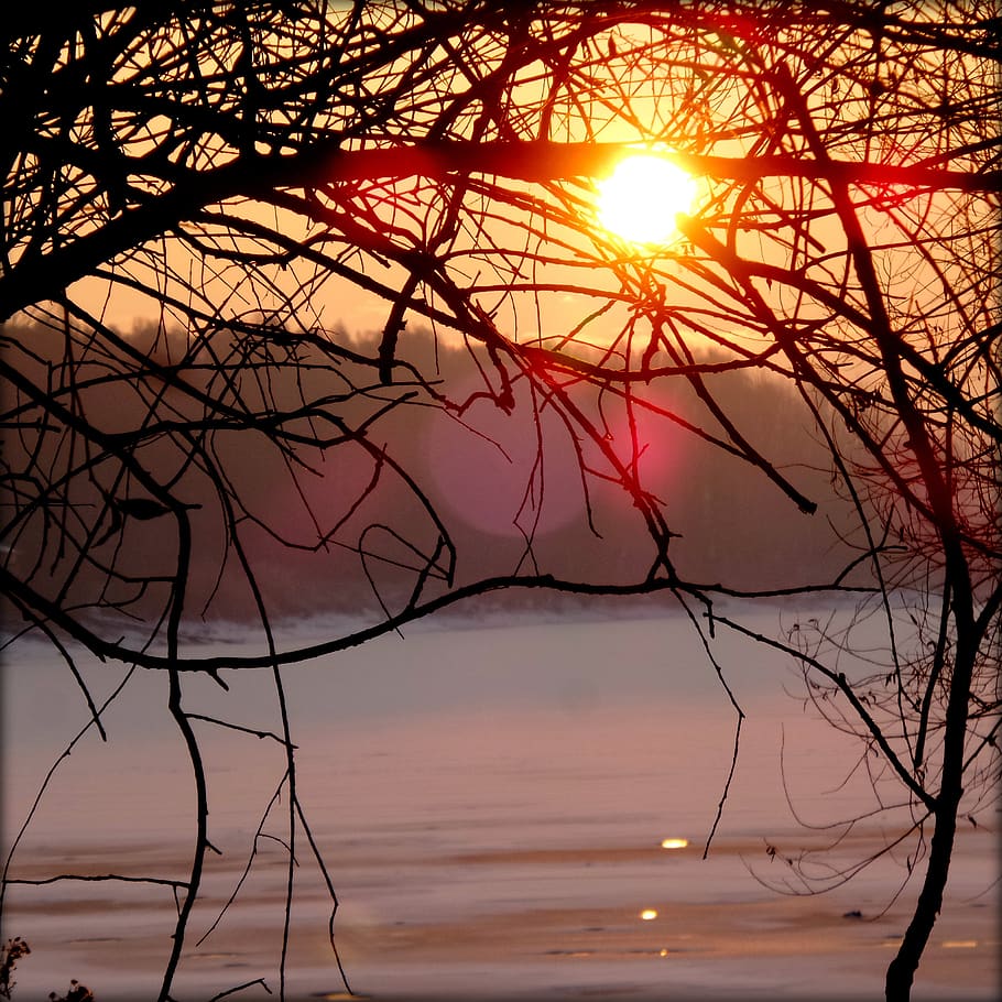 sunrise, winter, nature, sky, sunset, beauty in nature, water HD wallpaper