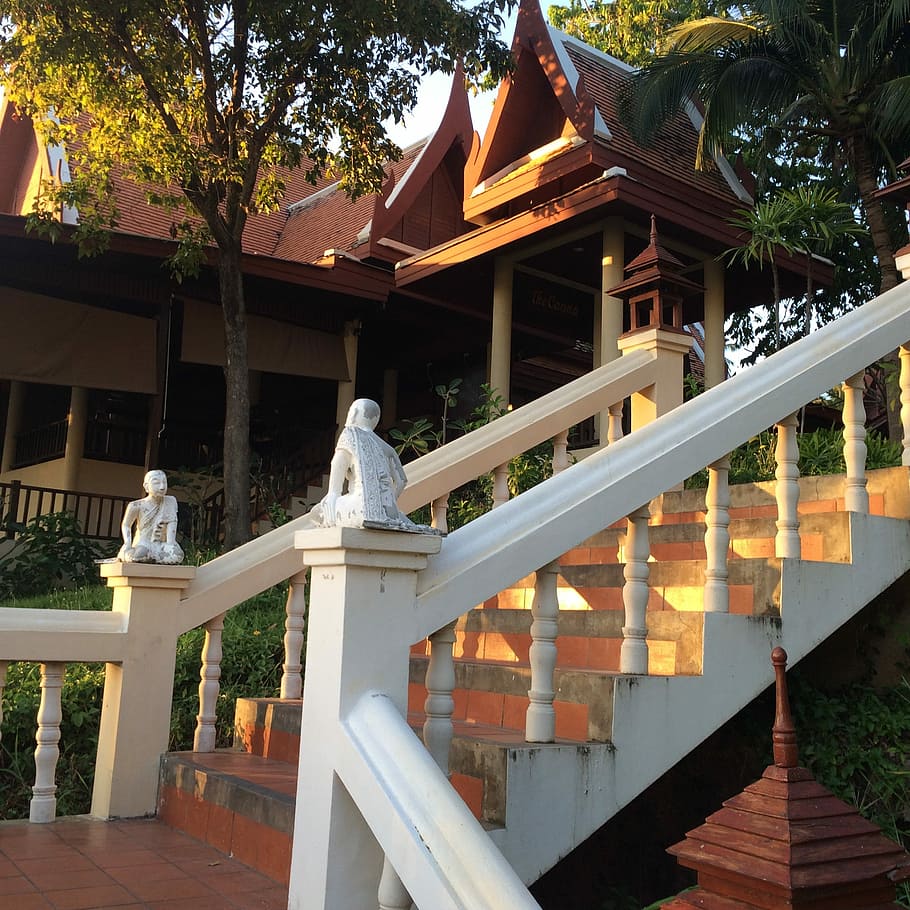 Thailand, Steps, Light, Statue, architecture, outdoors, tree HD wallpaper