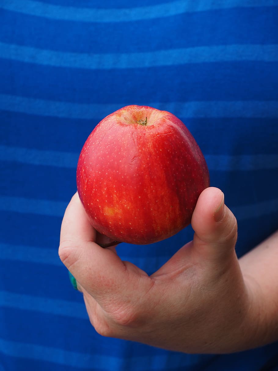 apple, red, fruit, vitamins, hand, keep, healthy eating, food HD wallpaper
