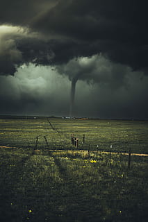 storm near leafed plants, green grass field near tornado under cloudy sky HD wallpaper