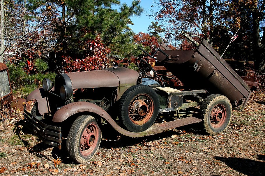 trees, car, vehicle, vintage, abandoned, antique, army, auto