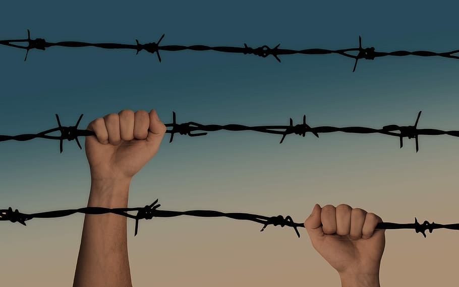 person climbing barbed wire, hands, caught, war, a prisoner of war, HD wallpaper