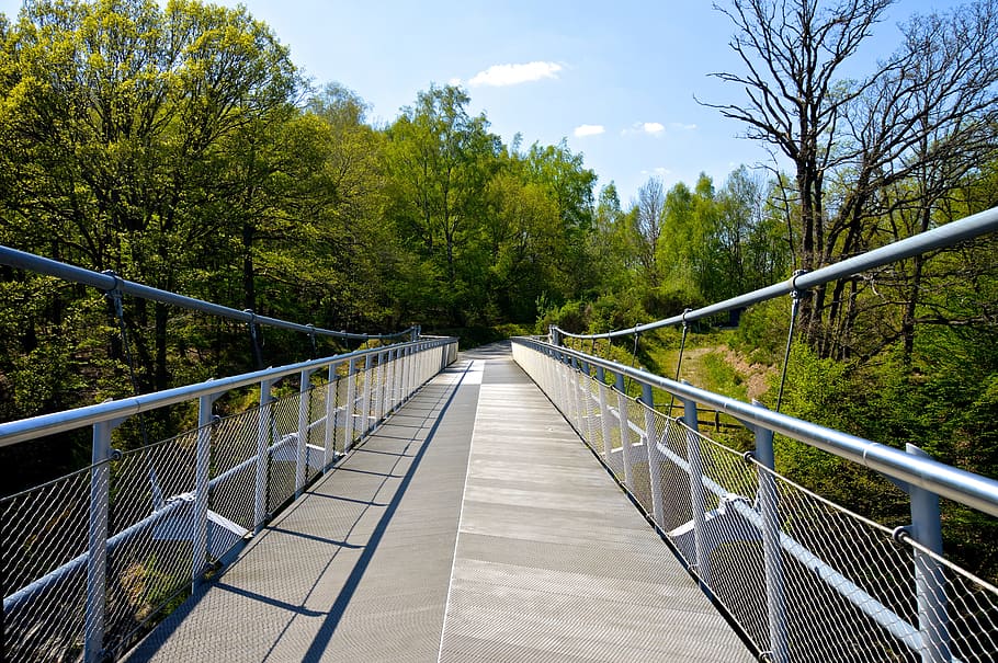 bridge surrounded by trees, Eifel, Hiking, Target, steel cables HD wallpaper