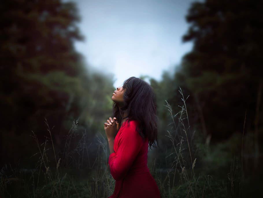 black haired woman in red dress focus photography, women, nature HD wallpaper