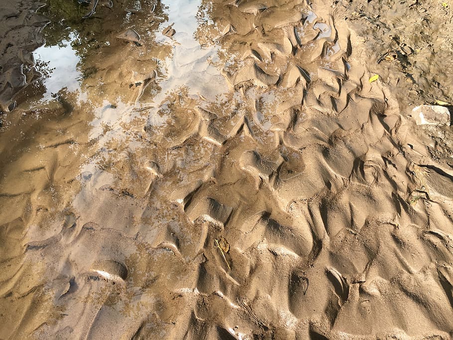 riverbed, creek, creek bed, fractals, river sand, stream, water, HD wallpaper