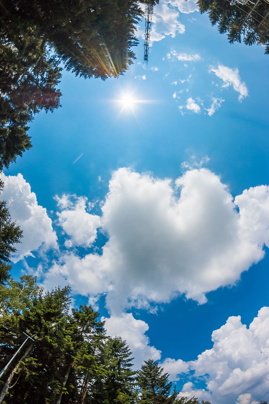 sky, clouds, the sun, forest, nature, view, blue, summer, tree HD wallpaper
