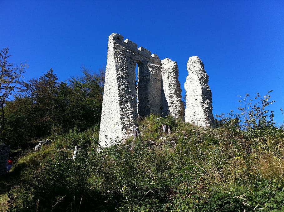 ruin, wall, building, plant, sky, architecture, history, clear sky HD wallpaper