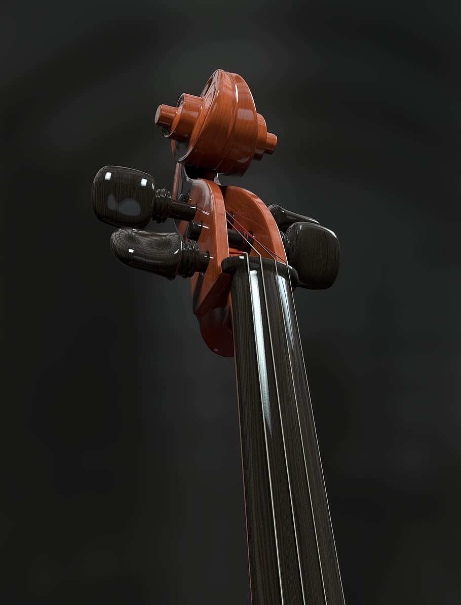 brown and black violin, cello, strings, stringed instrument, detail, HD wallpaper