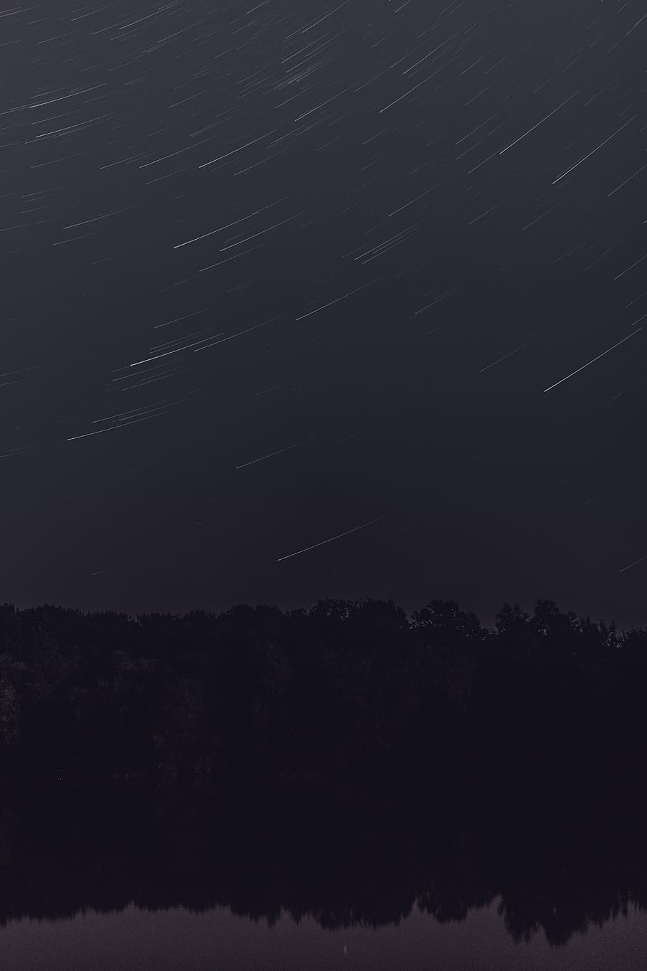 stars at nightime, untitled, sky, long exposure, trail, tree HD wallpaper