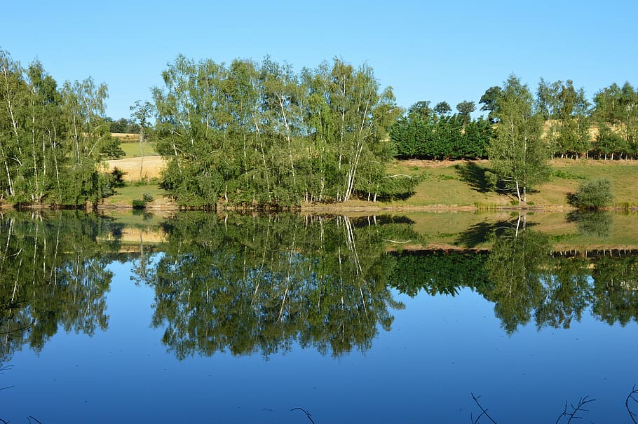 Nature, Pond, Landscape, Aveyron, reflections, trees, water, HD wallpaper