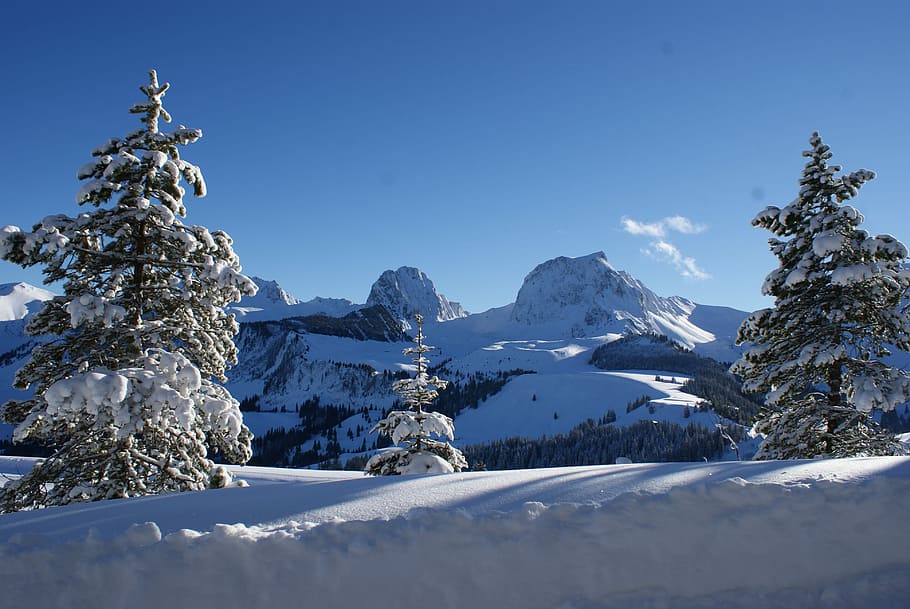 Gantrisch, Mountains, Alpine, Wintry, switzerland, winter, snow, HD wallpaper