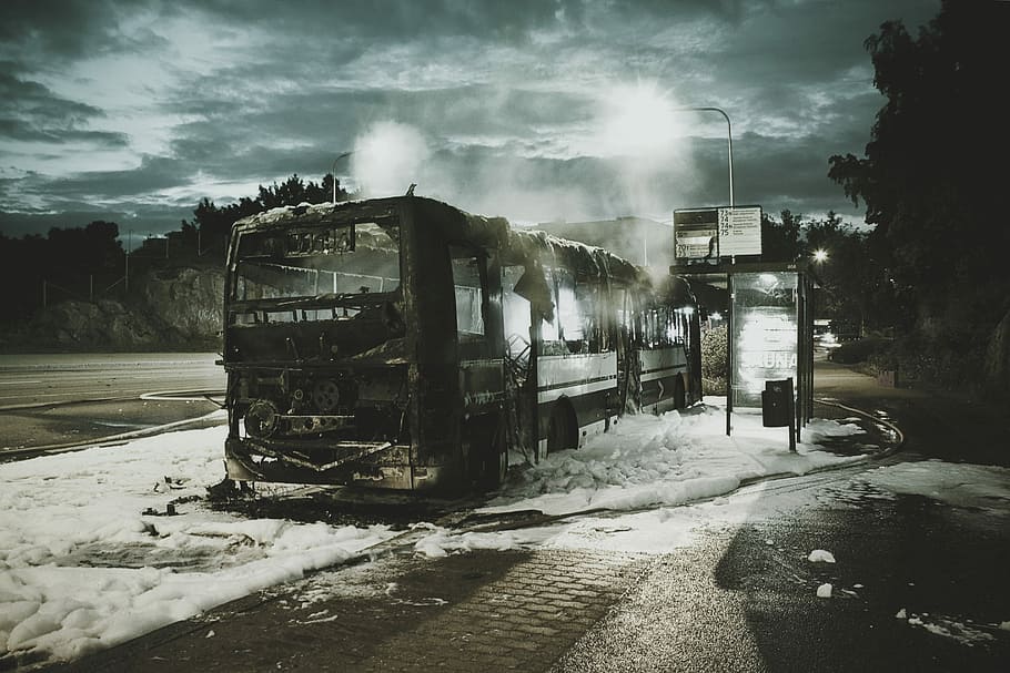 black bus near trees during daytime, grayscale photo of bus, foam HD wallpaper