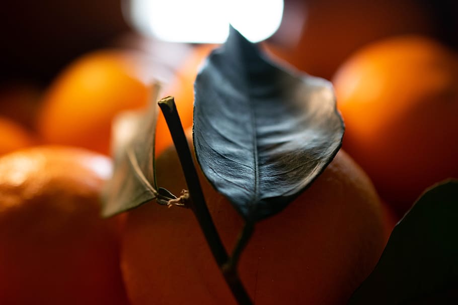 orange, fruit, eat, fresh, healthy, vitamins, food, sweet, oranges HD wallpaper