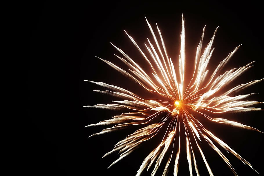fireworks, shape, flower, brightness, new year, motion, event HD wallpaper