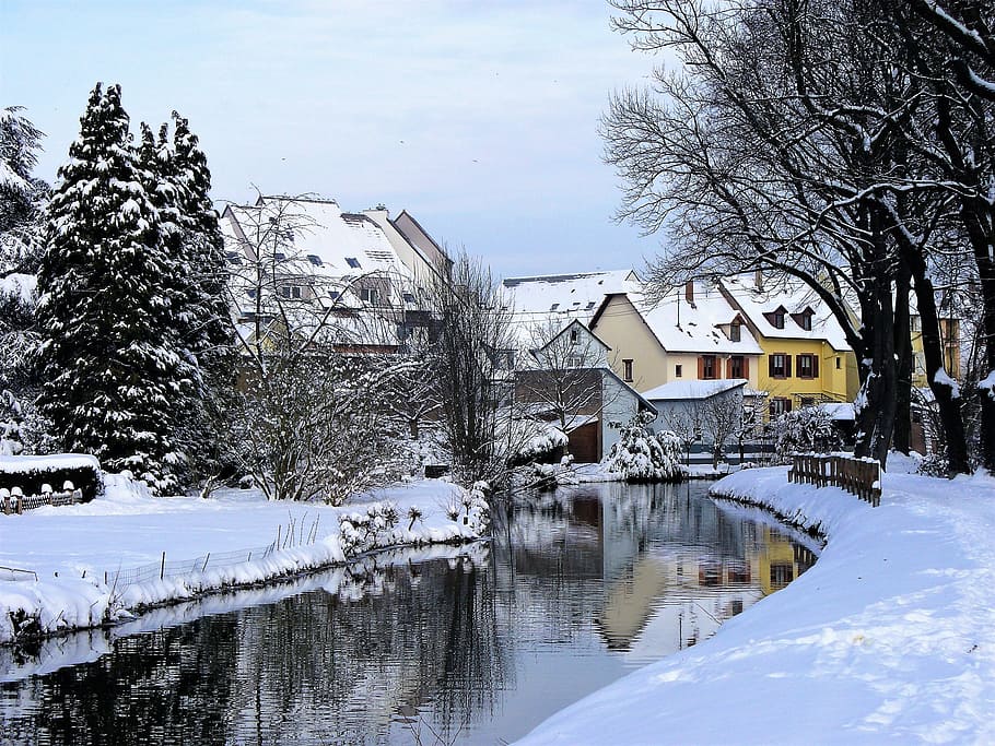 strasbourg, snow, winter, cold, frozen, ice, frost, landscapes HD wallpaper