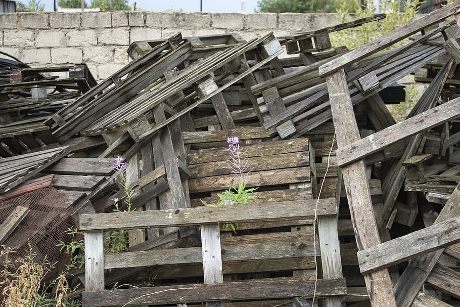 construction, flower, pallets, wall, blocks, wood - material HD wallpaper