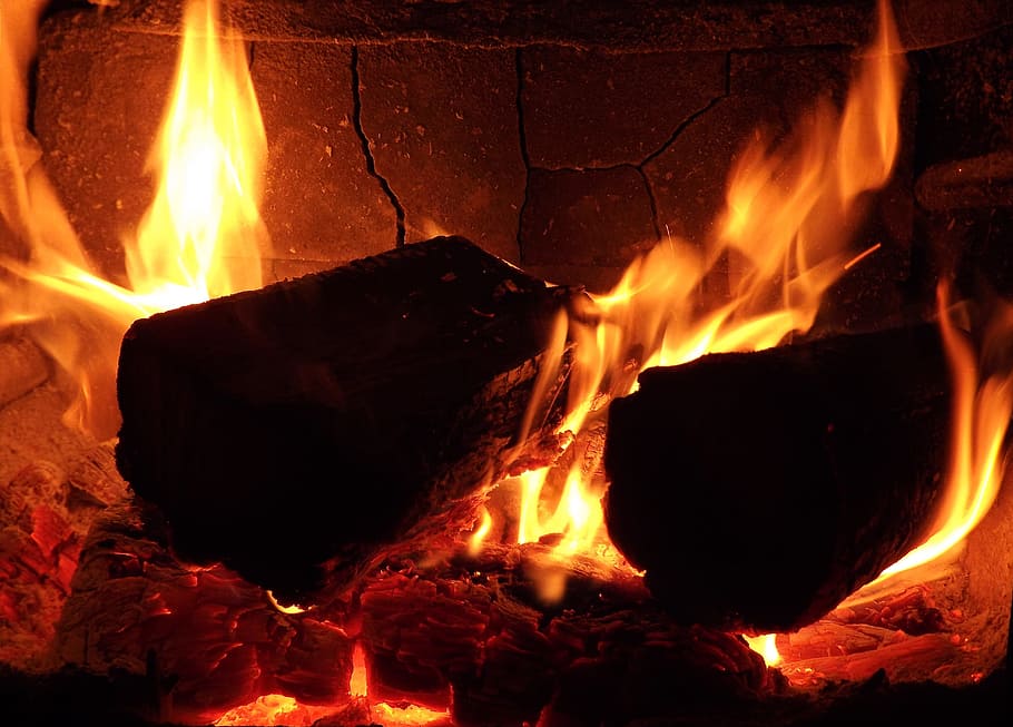 Fire, Flame, Wood, Light Bulb, wood fire, heat - temperature HD wallpaper