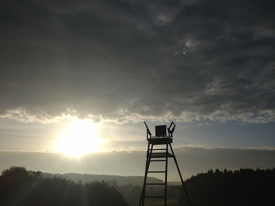 sun, clouds, perch, mourning, hope, wait, landscape, nature HD wallpaper