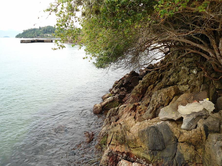 nature, beach, island, water, tree, plant, beauty in nature HD wallpaper