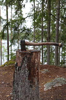 axe, forest, nature, huggkubbe, wood, cleave, stump, bark, tree HD wallpaper