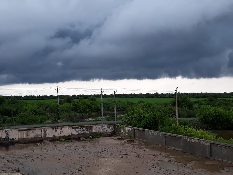 cloud, rain, black, india, gujarat, cloud - sky, storm, plant HD wallpaper